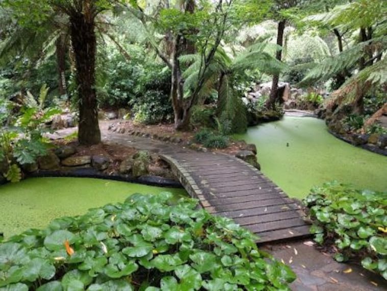 Alfred Nicholas Memorial Garden-1